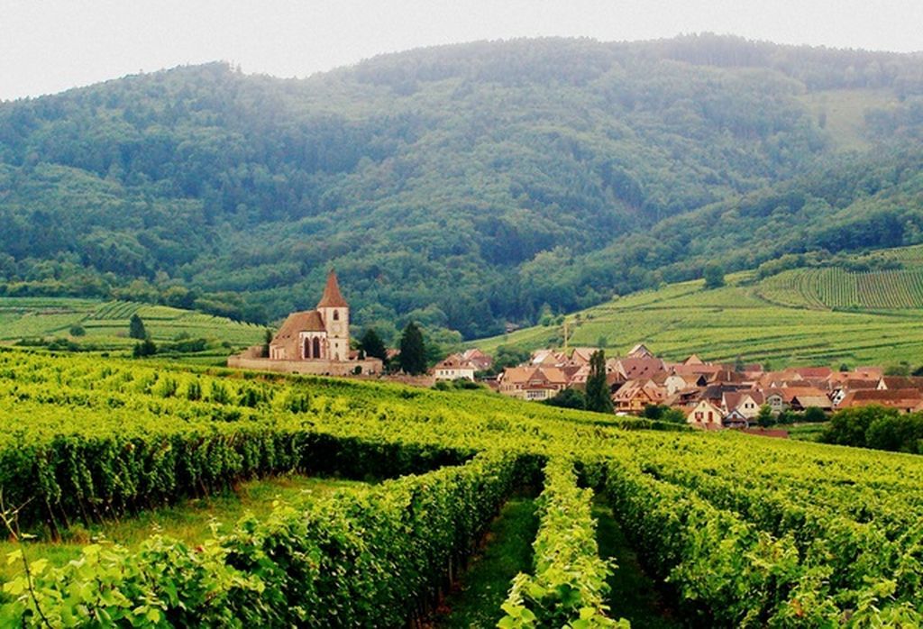 alsace vineyard motorcycle touring france