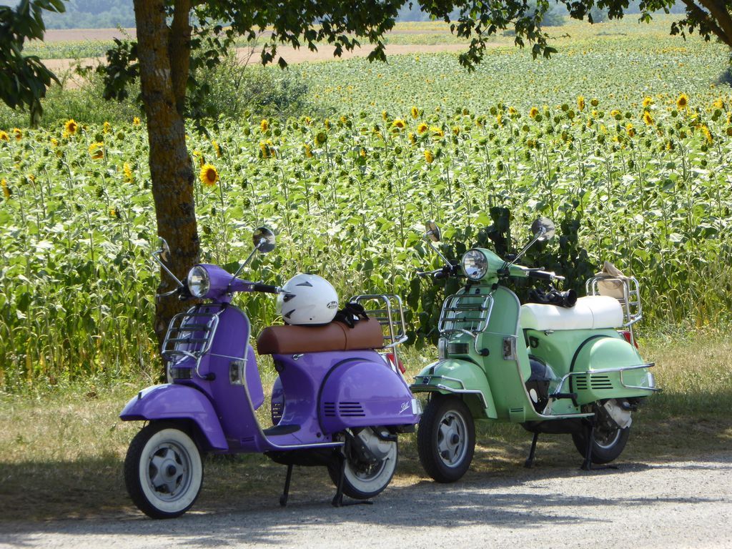 ride scooter tour france