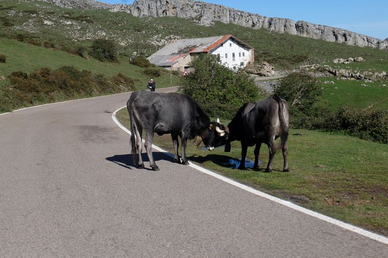 28 voyage moto asturies picos europa