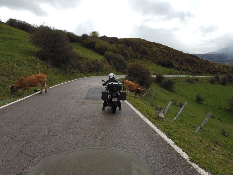 89 voyage moto asturies picos europa