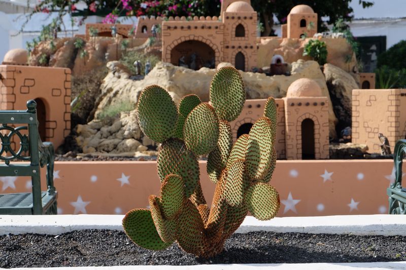 creche lanzarote noel