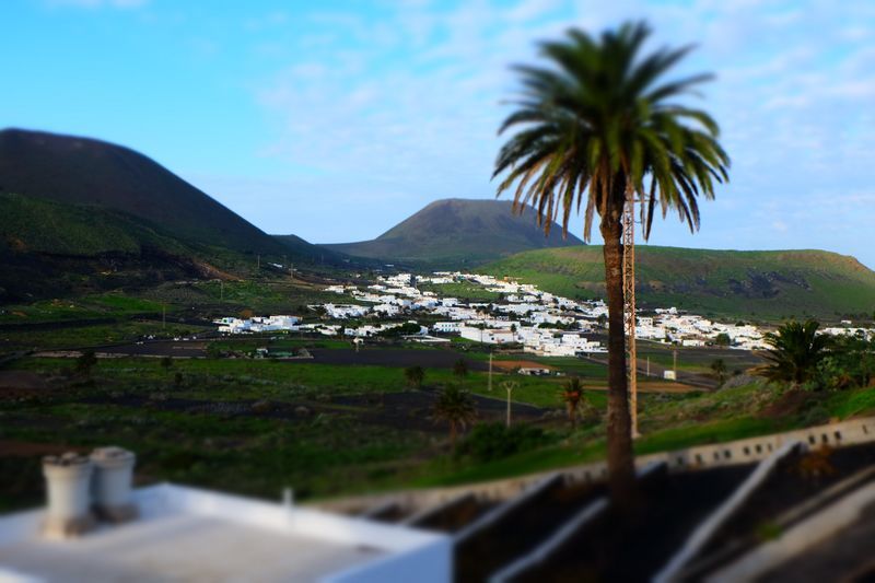 lanzarote village canaries