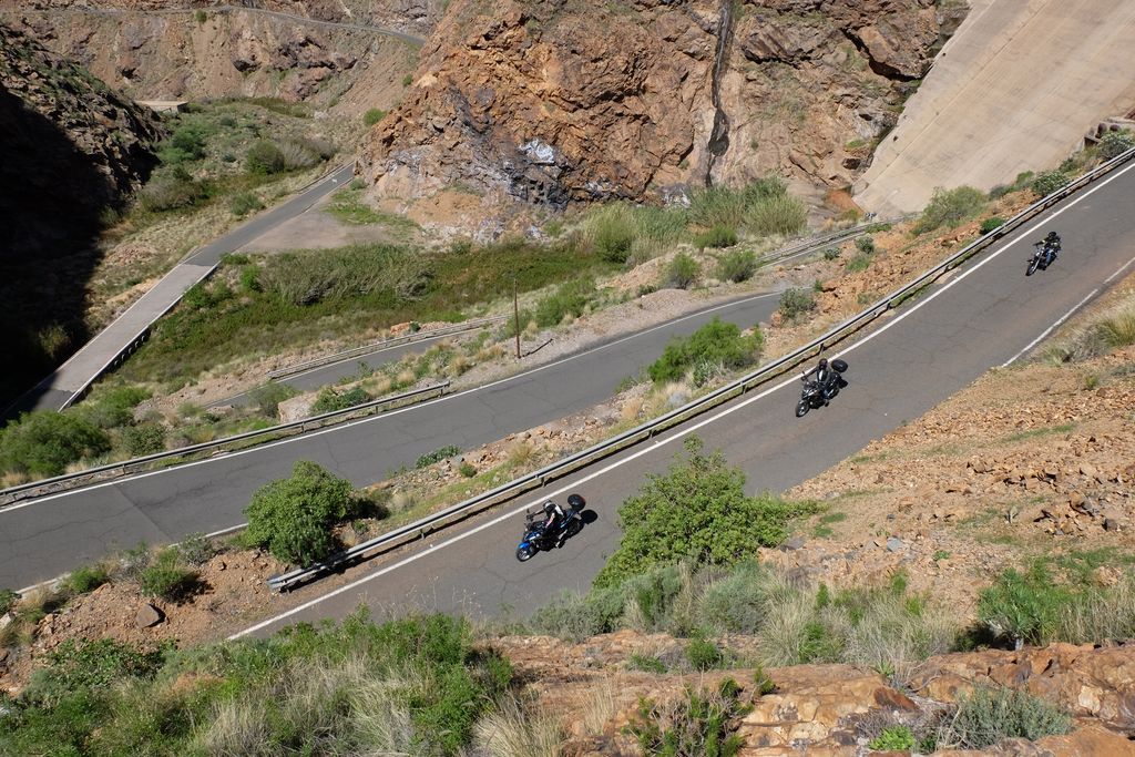 canaries à moto