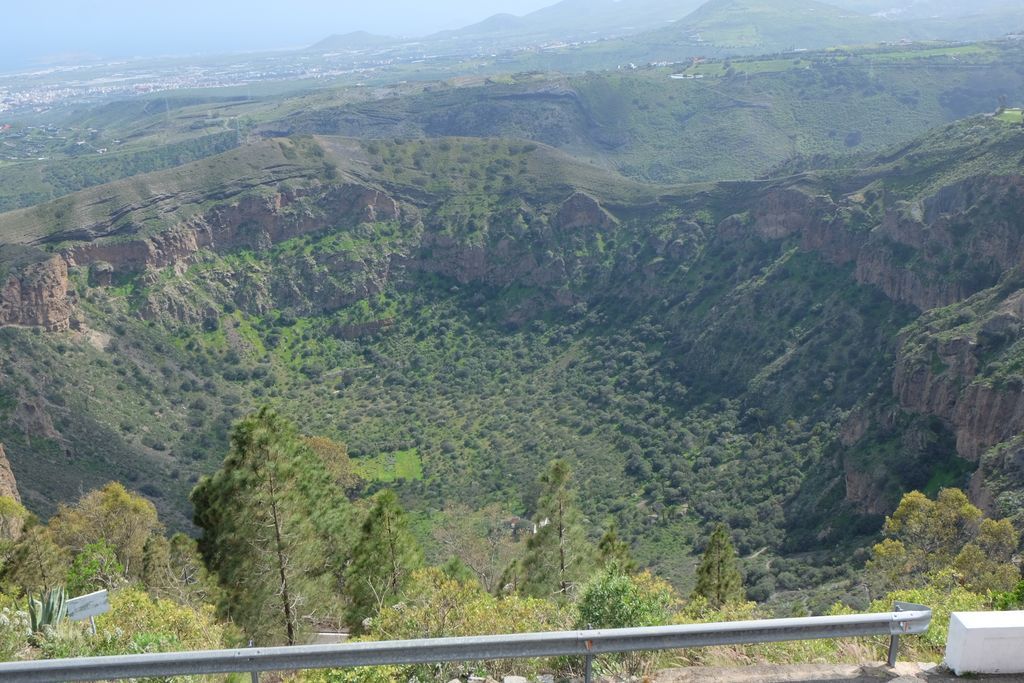 pic bandama canaries