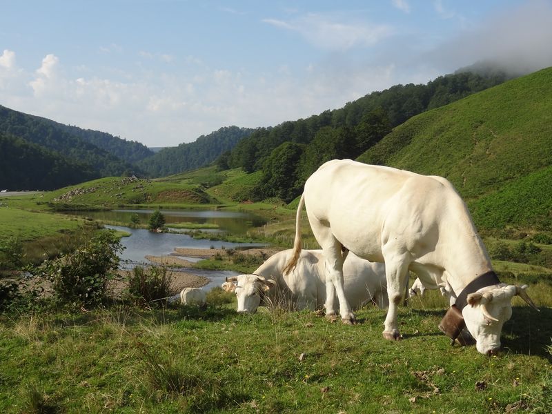 10 pyrenees motorcycle tour