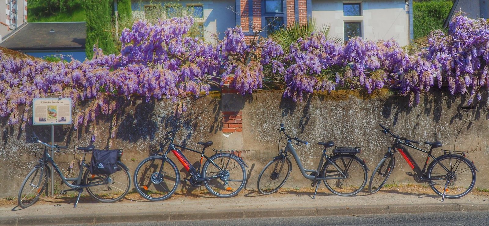 loire velo vouvray fleur voyage