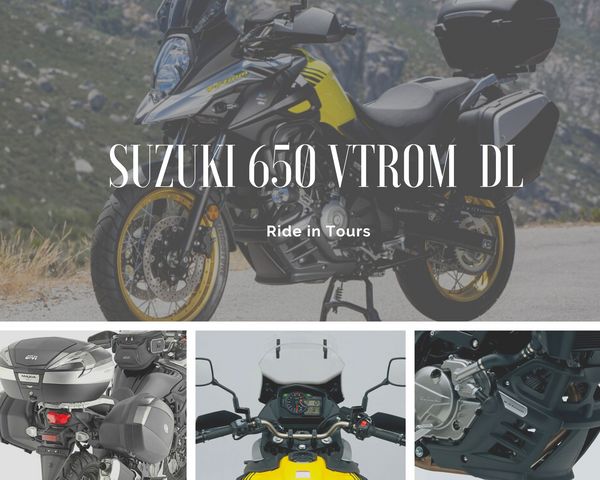 suzuki vstom 650 alquiler