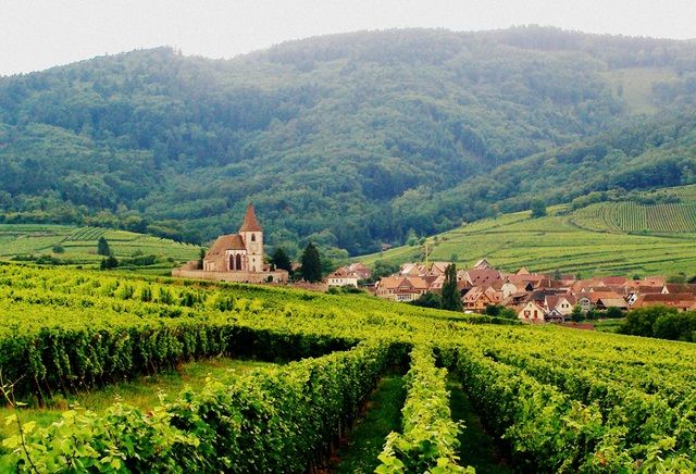 alsacia viaje motocicleta francia vino