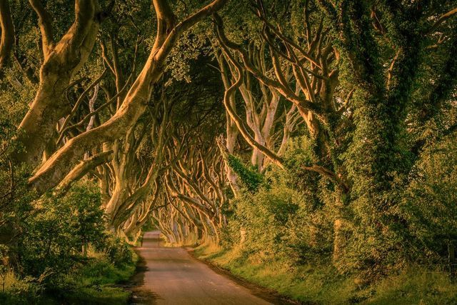 ride Ireland game of Thrones