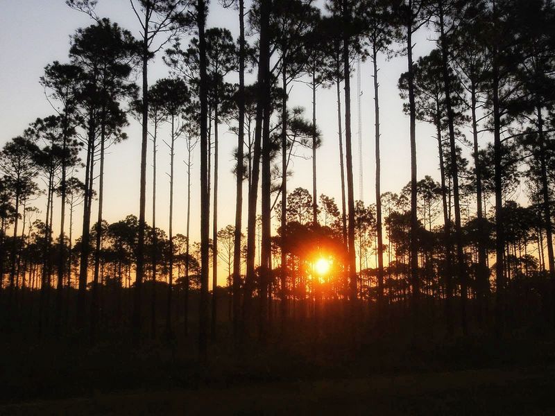 Mexico Beach, Floride