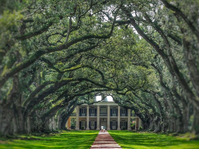 Oak Alley plantation, Lousiane